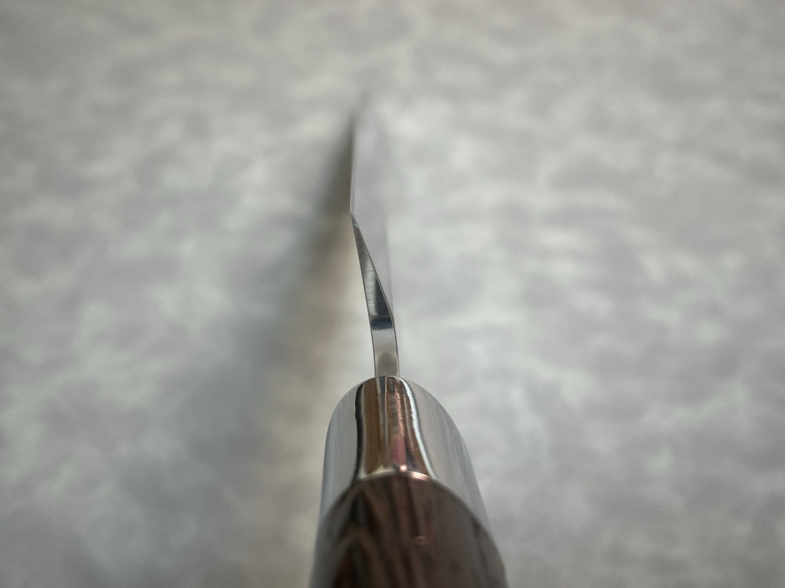 Left 270mm 10.5" Single Bevel Yanagiba Sashimi Knife Uraoshi 7Cr Wenge Handle